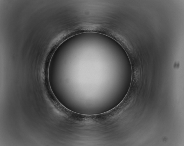 X0000101140682200807071127