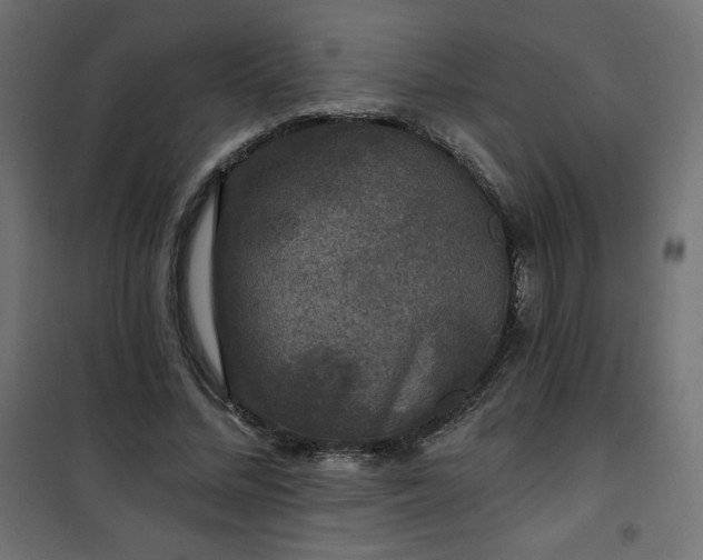 X0000101140684200807071127