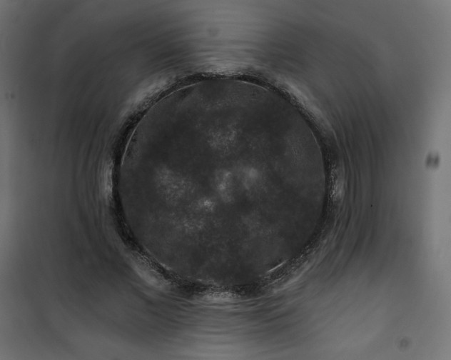 X0000101140685200807071127