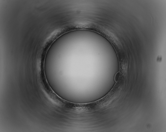 X0000101140686200807071127