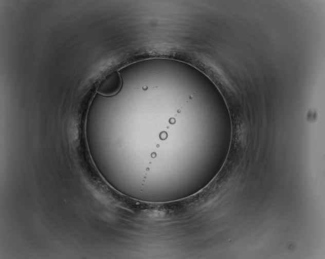 X0000101140687200807071127