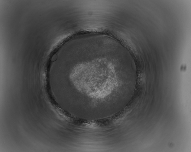 X0000101140688200807071127