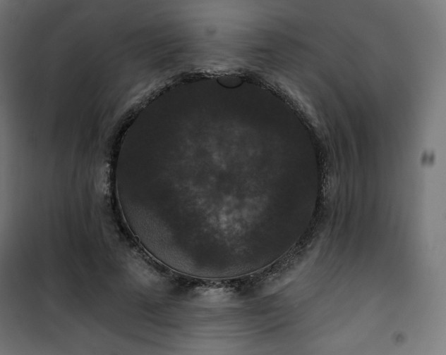 X0000101140689200807071127