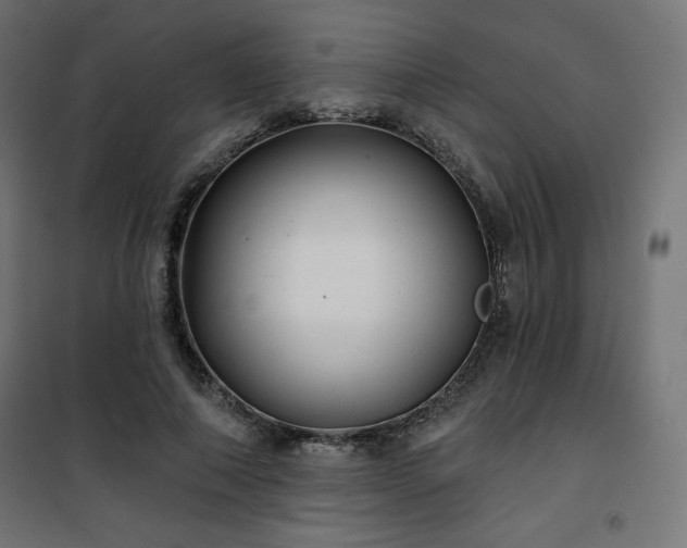 X0000101140690200807071127