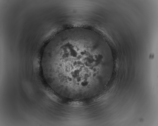 X0000101140691200807071127