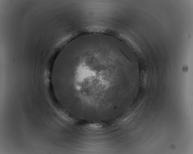 X0000101140692200807071127