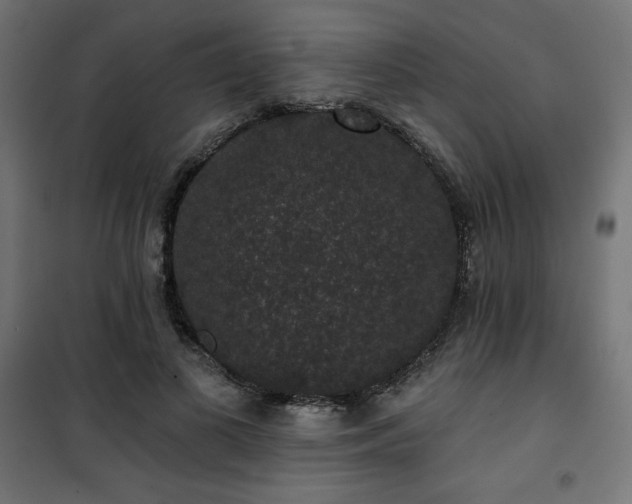 X0000101140693200807071127