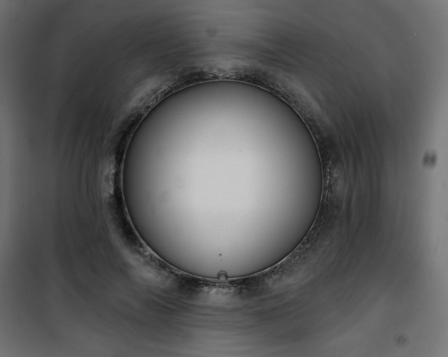 X0000101140694200807071126