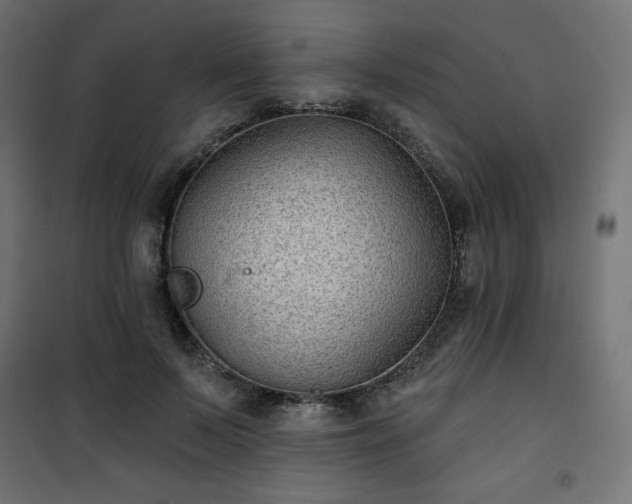 X0000101140695200807071126