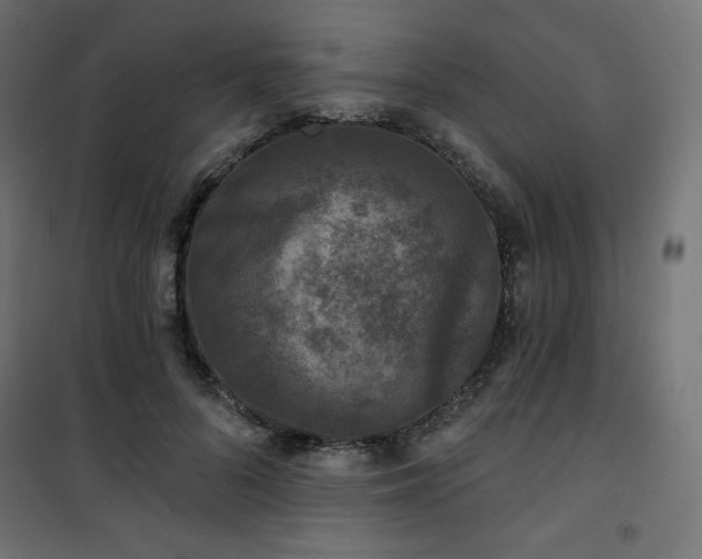 X0000101140696200807071126