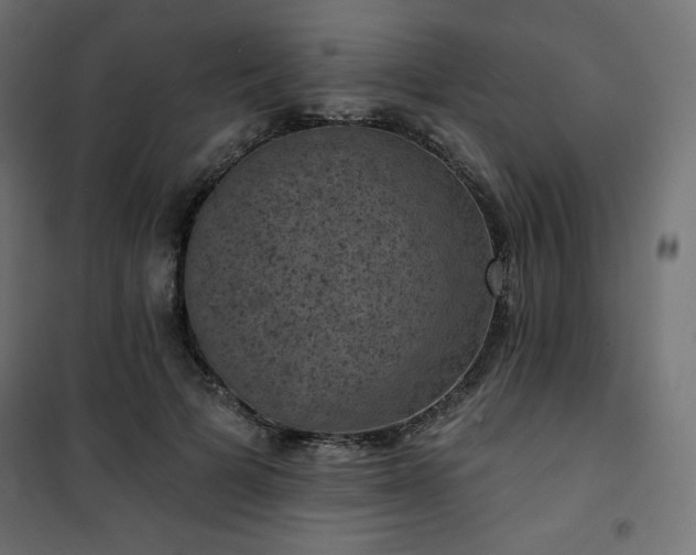 X0000101140697200807071126