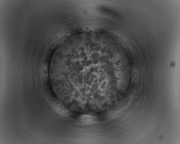 X0000101140699200807071126