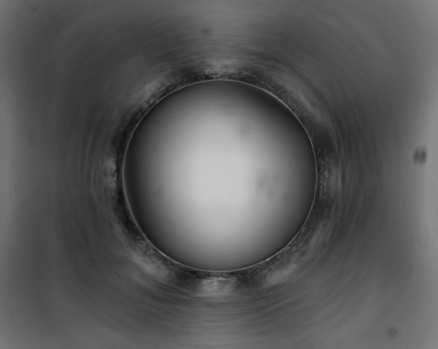 X0000101140700200807071126