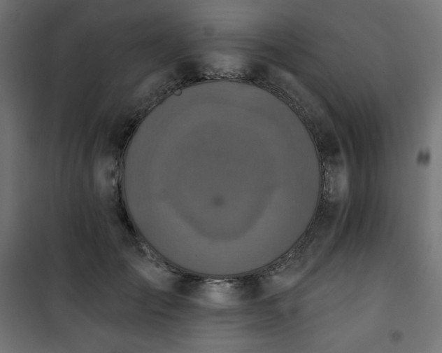 X0000101140701200807071126