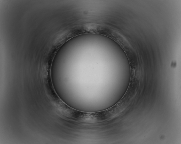 X0000101140702200807071126