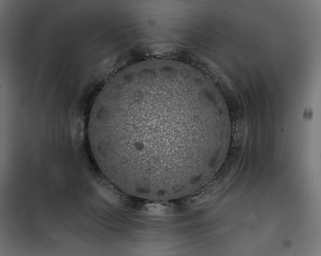 X0000101140703200807071126