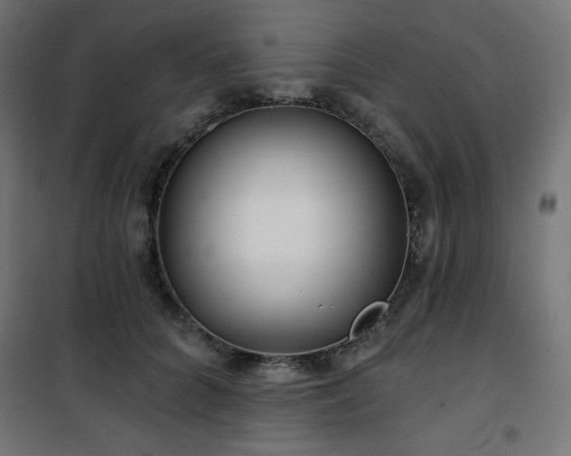 X0000101140704200807071126