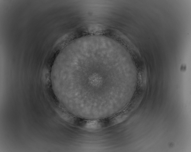 X0000101140705200807071126