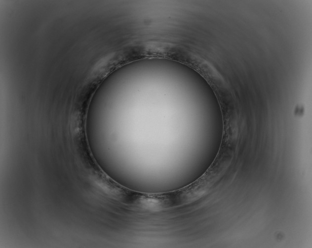 X0000101140706200807071126