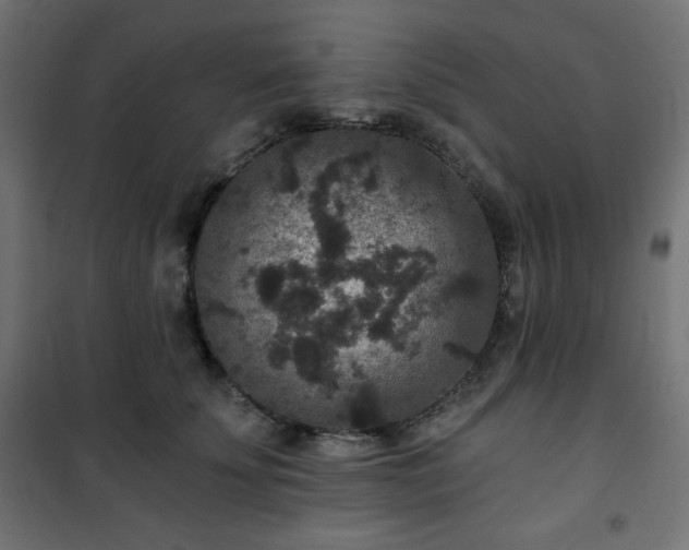 X0000101140707200807071126