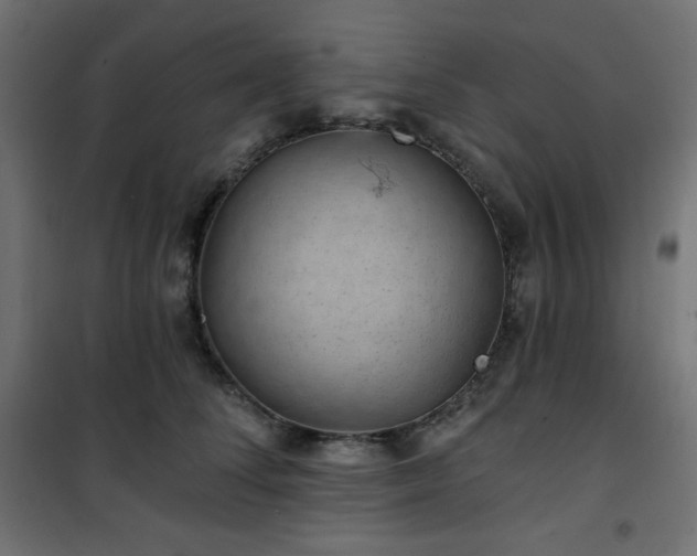 X0000101140708200807071126