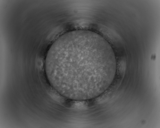 X0000101140709200807071126