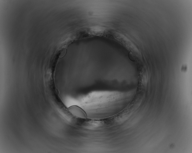 X0000101140711200807071126