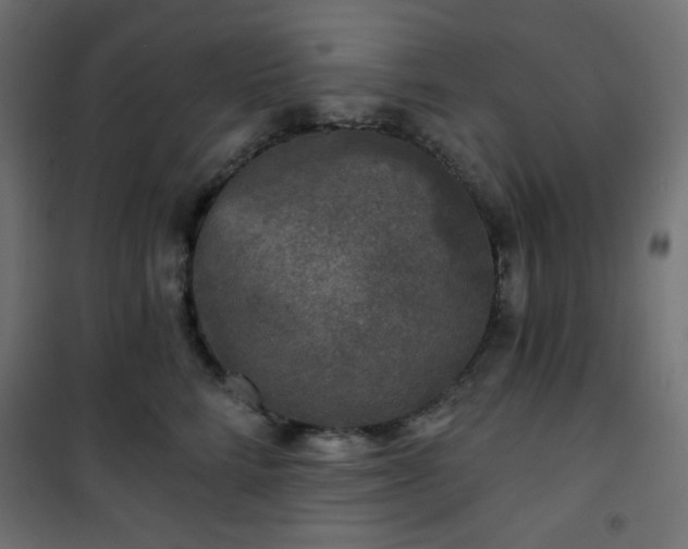 X0000101140712200807071126