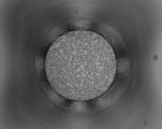 X0000101140713200807071126