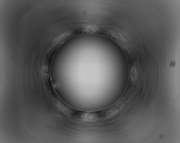 X0000101140714200807071126