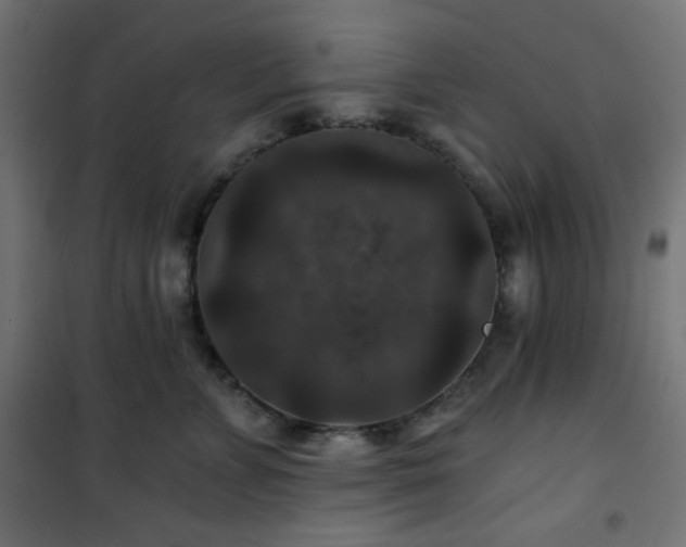 X0000101140715200807071126