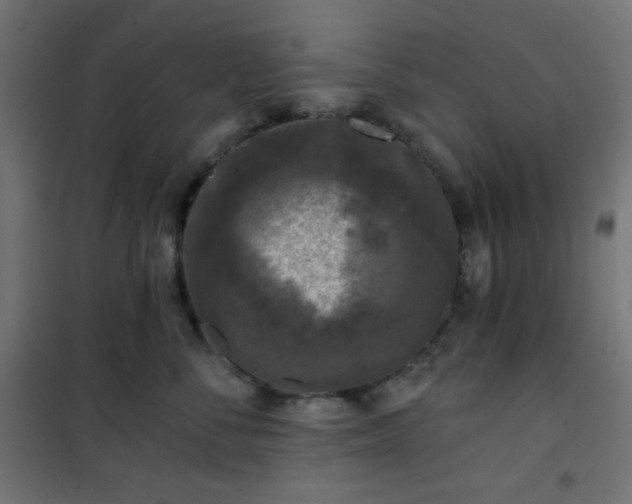 X0000101140716200807071126