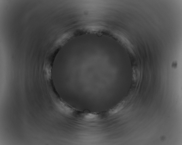 X0000101140718200807071126