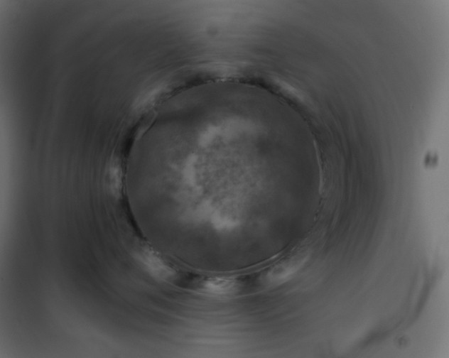 X0000101140720200807071126