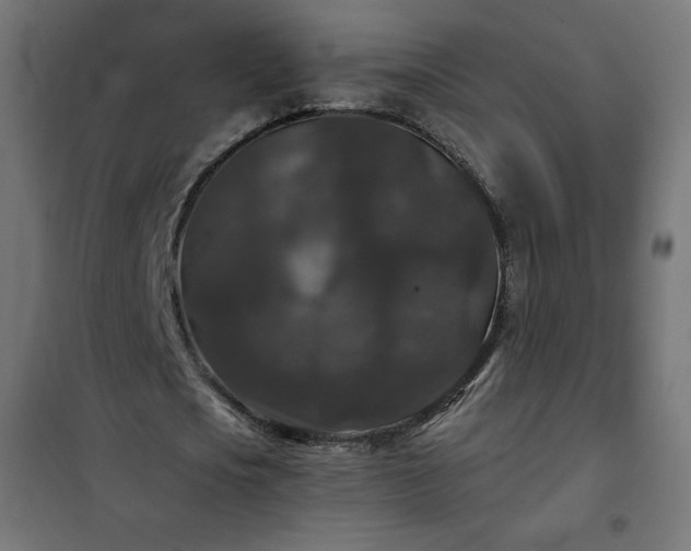 X0000101140721200807071125