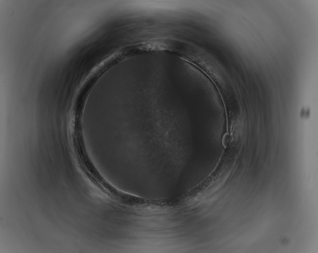 X0000101140722200807071125