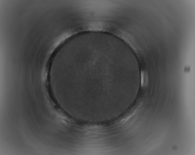 X0000101140723200807071125