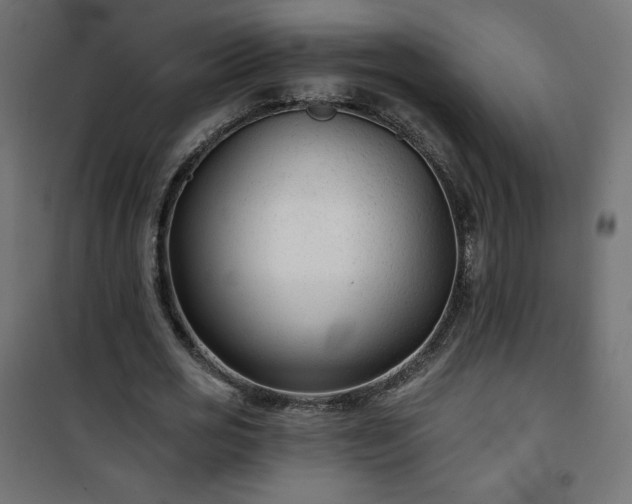 X0000101140725200807071125