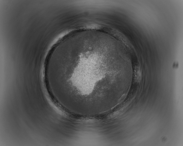 X0000101140726200807071125