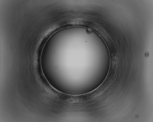 X0000101140727200807071125