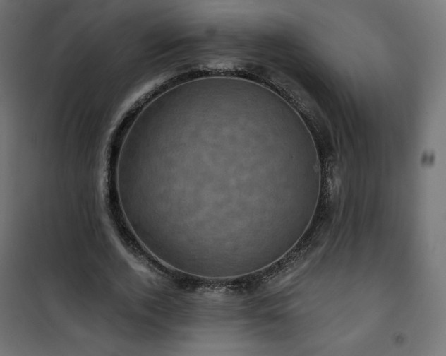 X0000101140728200807071125