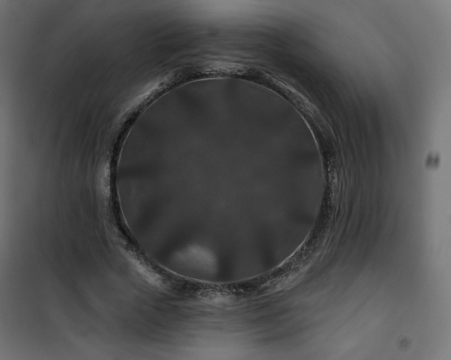 X0000101140729200807071125