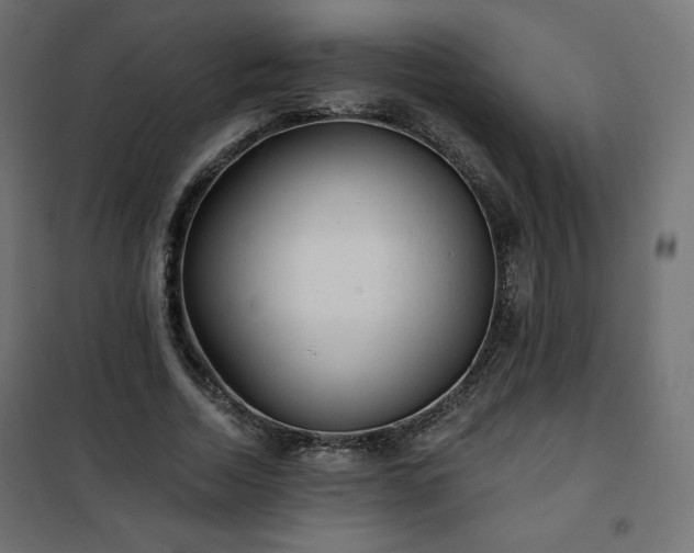 X0000101140730200807071125