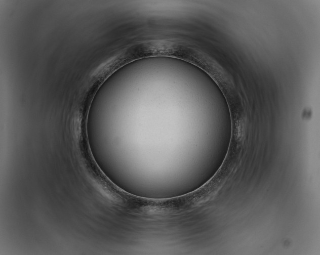 X0000101140733200807071125