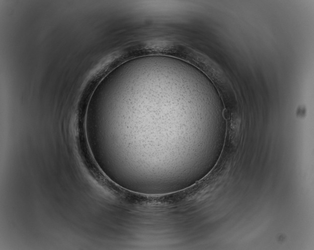 X0000101140734200807071125