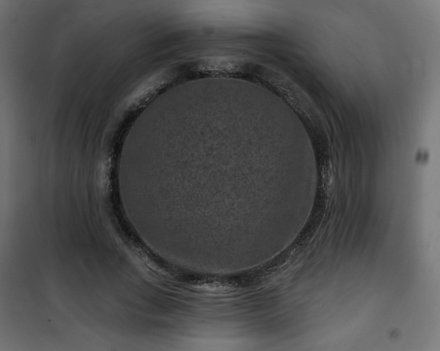 X0000101140735200807071125