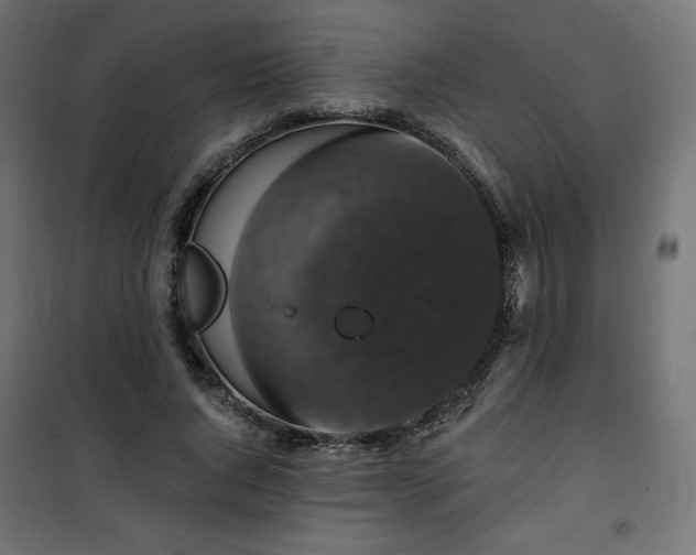 X0000101140736200807071125