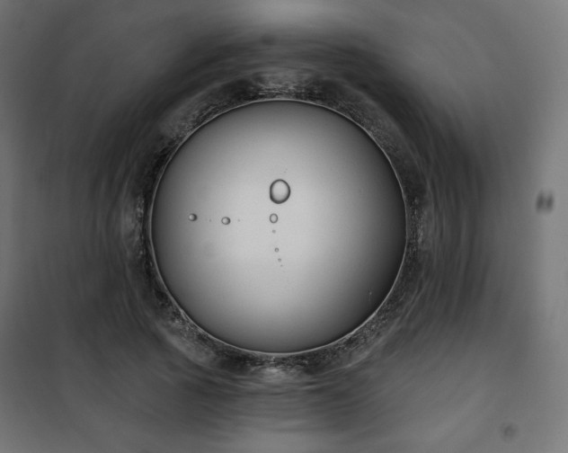 X0000101140737200807071125