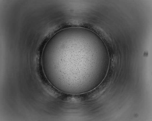 X0000101140739200807071125