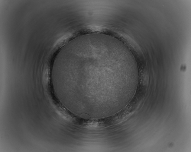 X0000101140740200807071125